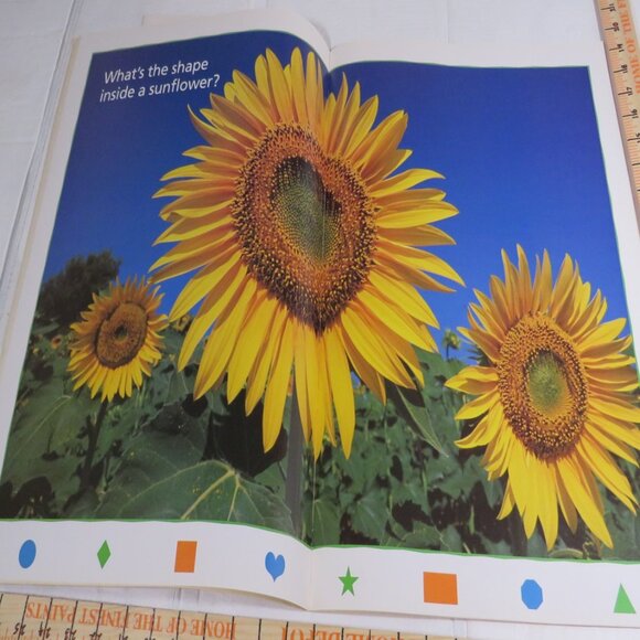 What’s the Shape BIG BOOK (almost 2 feet tall) with teacher pages CLASSROOM SIZE - Picture 4 of 13